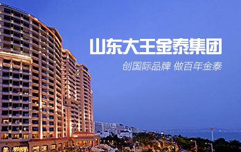 山東大王金泰集團(tuán)